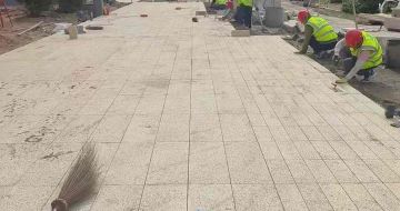 陇南黄金麻荔枝面地铺案例