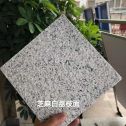 陇南 芝麻白荔枝面干挂