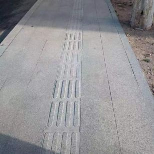 陇南 芝麻白盲道盲点