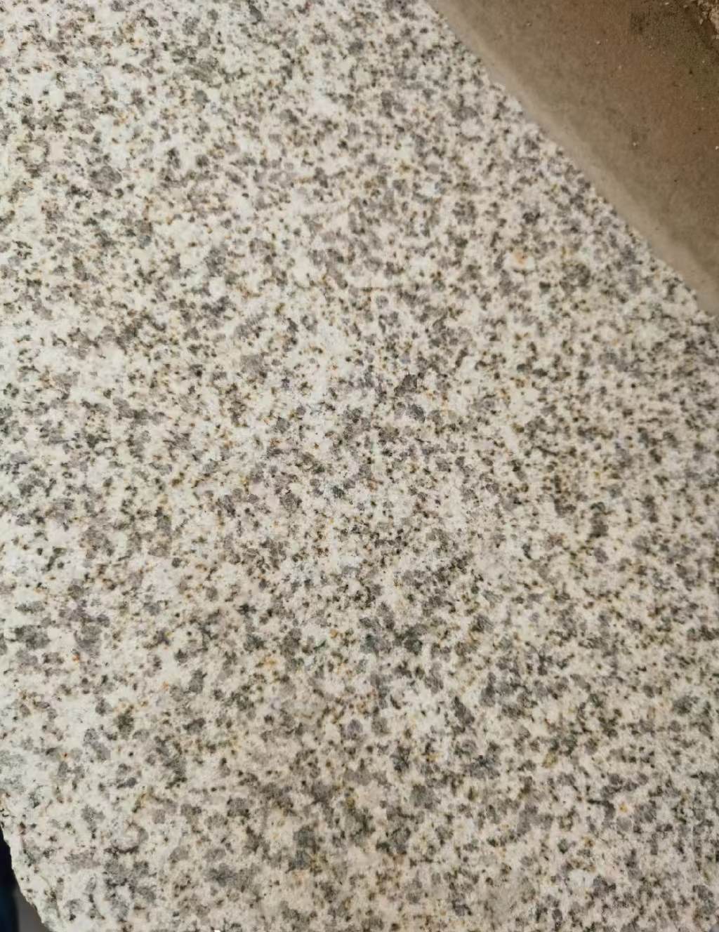 陇南 黄金麻中黄光面