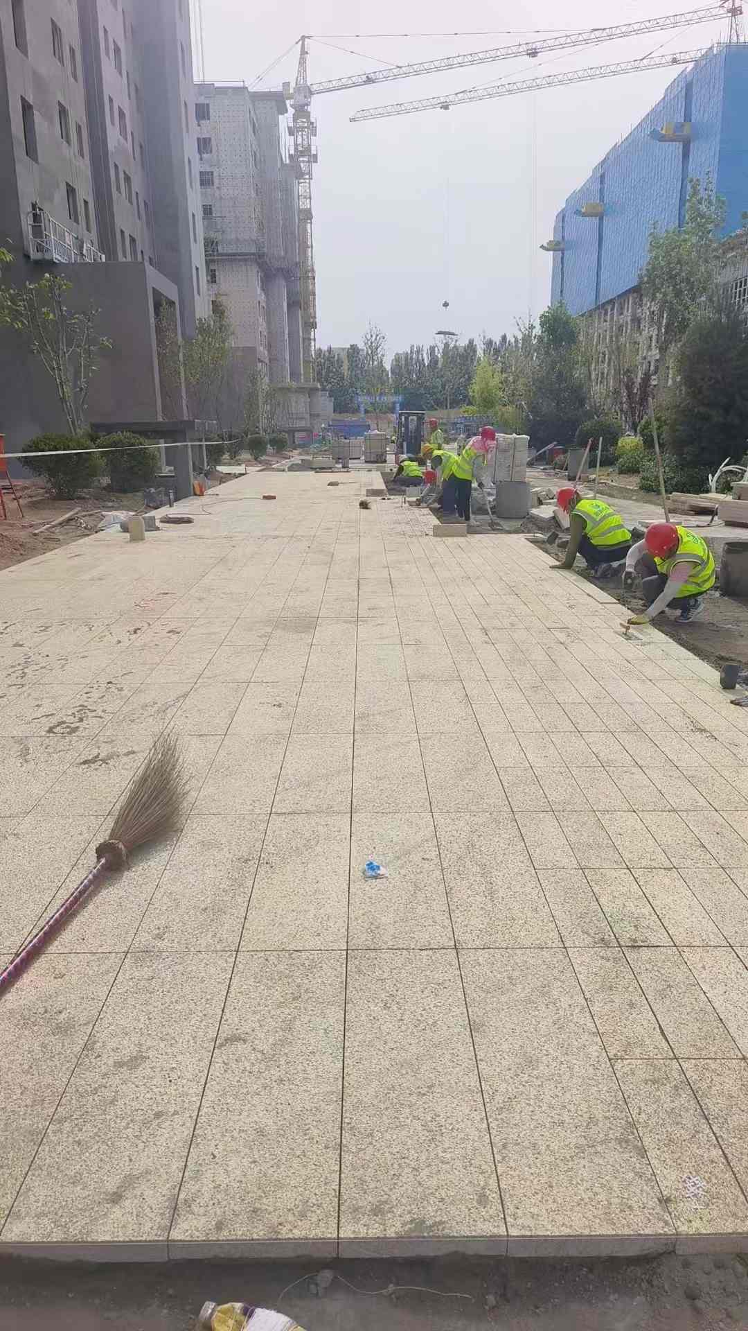 陇南黄金麻荔枝面地铺案例