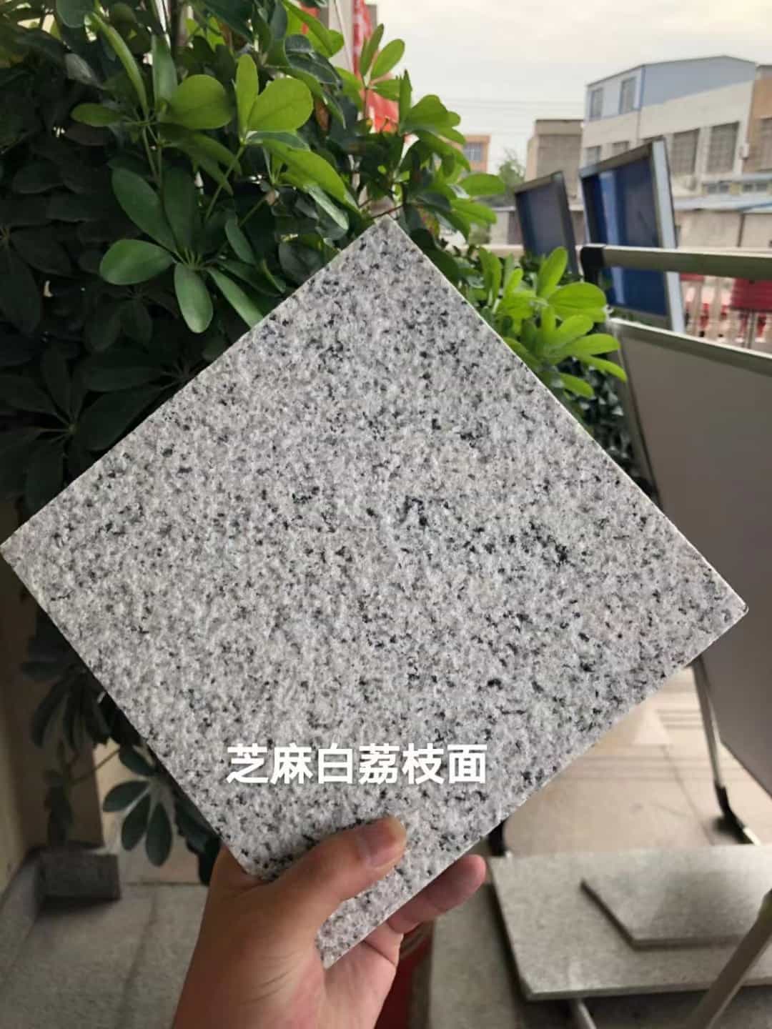 陇南 芝麻白荔枝面干挂