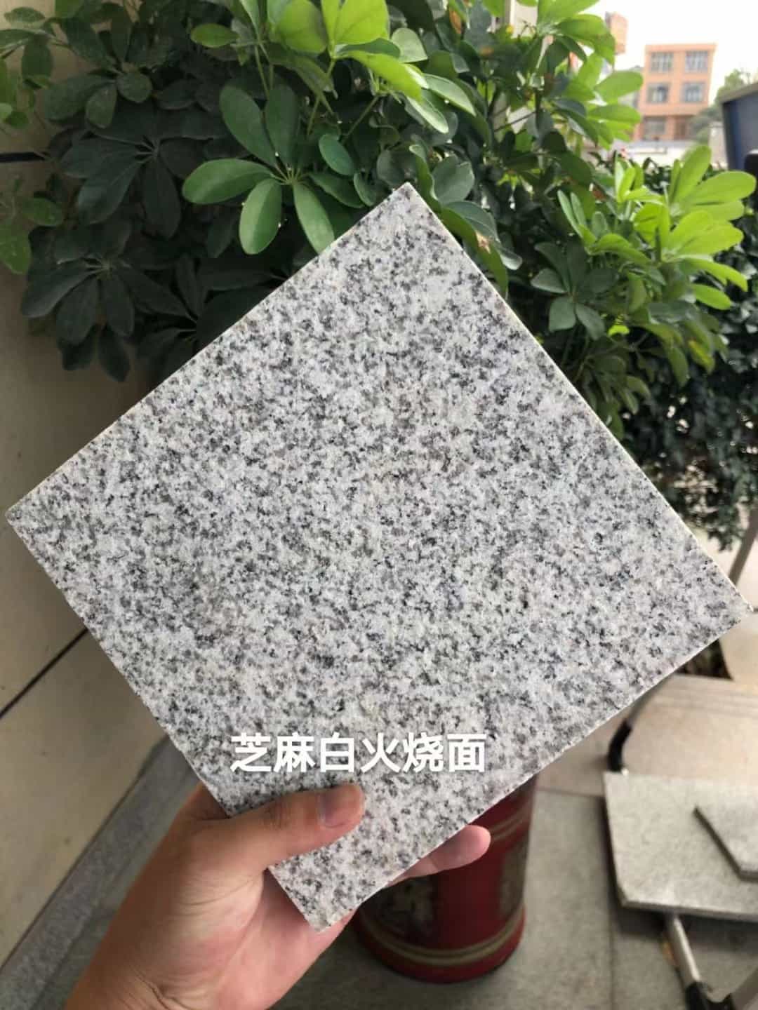 陇南芝麻白火烧面地铺