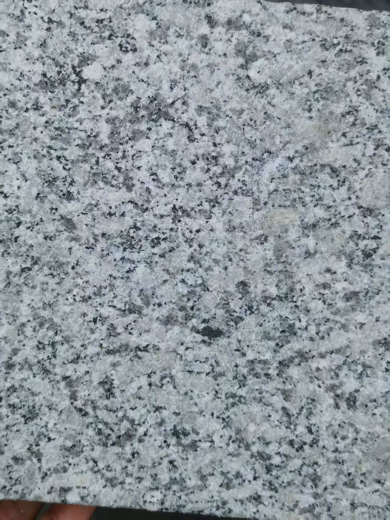 陇南 芙蓉白火烧面