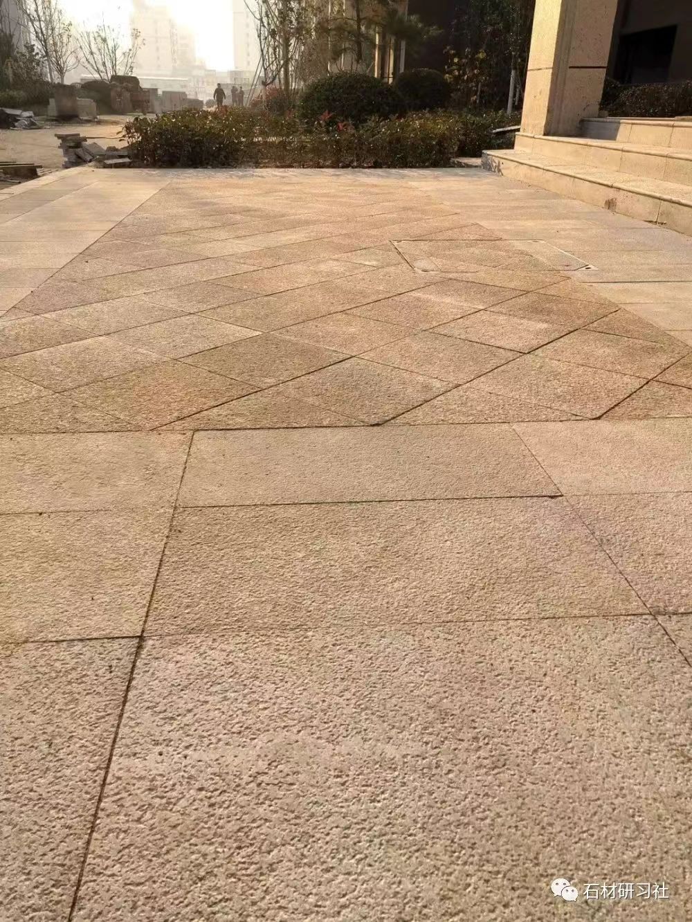 陇南黄金麻荔枝面铺贴